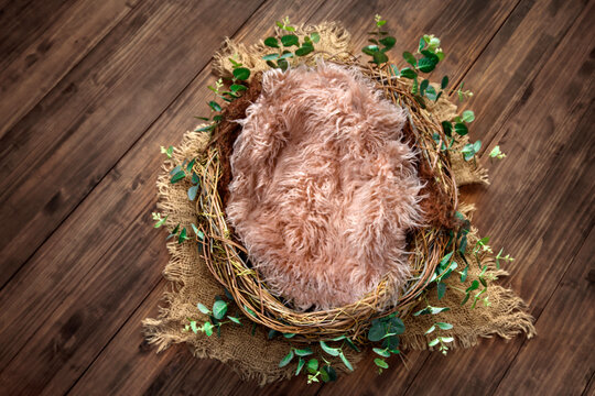Newborn photography digital background with bird's nest on natural wood