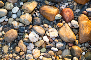 Multicolored Wet Stones on a Sea Beach