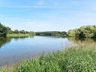 Fototapeta na wymiar Summer in the English countryside at Staunton Harold Reservoir