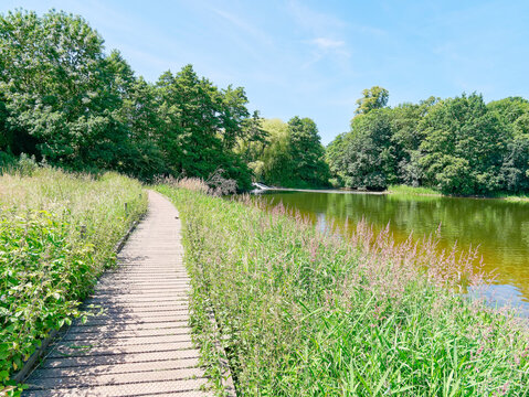 Walk by the side of Staunton Harold Resevoir