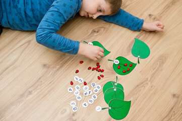 Boy lying on the floor and playing homemade counting game " ladybird on the leaf ". Play and learn. mathematical tasks