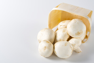 White Mushrooms champignons in wooden basket on a light background. Close up with copy space. Packed champignons to basket.