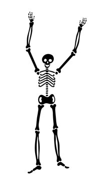 vector isolated illustration. human skeleton pulls hands to the sky. raised bones. element for halloween.