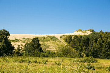 Sand dunes in Nida, Lithuania. Sand and forest. 