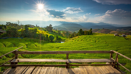 Fototapeta premium Beautiful landscape. Paddy fields at Pa Pong Pieng village, Mae Chaem, Chiang Mai, Thailand.