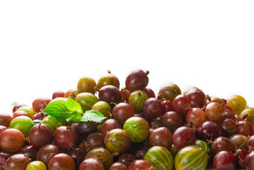 Gooseberry isolated on white background. Top view.