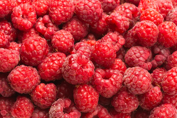 Tasty red raspberry background.