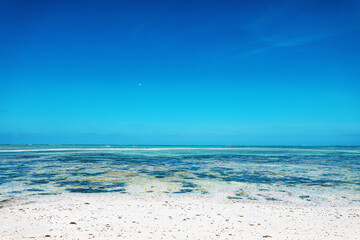 White sand, seaweed and moon in Zanzibar