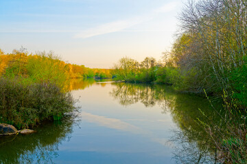 Early morning spring sunlight reflected from trees lining a lake