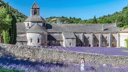 Abbaye de Senanque dans le Luberon et champs de lavande