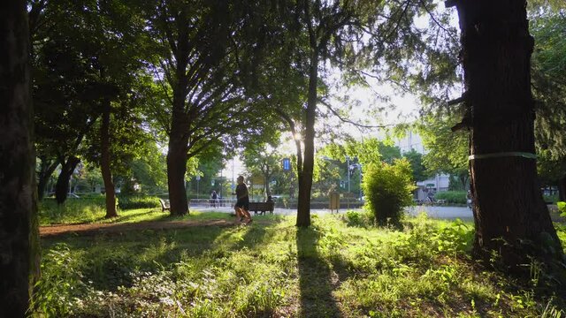 Summer sunset in Hikarigaoka Park in Tokyo is a very special time as many people go for a walk or run, or sit on the benches to watch the sunset.
