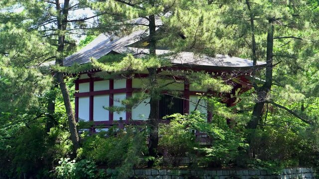In the middle of the lake in Shakuji Park, in Tokyo, there is a shinto temple where people who walk beside it stop to say their prayers.