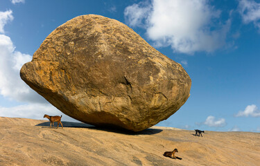 Giant boulder with goats resting under summer sky in Mamallapuram, India. © Daniel