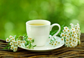 Obraz na płótnie Canvas Herbal tea in a ceramic cup with achillea salicifolia flowering plant on a green bokeh background.