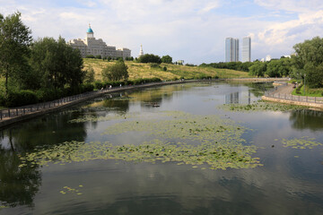 Fototapeta premium View of pond with water lilies