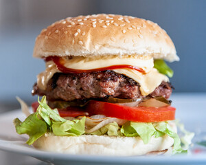 Homemade Burger