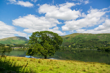 Fototapeta na wymiar 湖と丘と青空の美しい田舎の景色