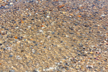 Transparent water ripples . Shells on the Sea Bottom