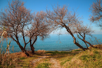 paradise