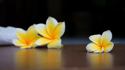 frangipani flower on wooden background