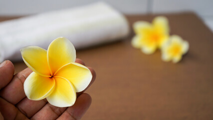 Fototapeta na wymiar frangipani flower in spa