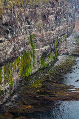 Latrabjarg bird cliffs, Westfjords, Iceland, Europe