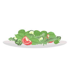 Salad on white plate. Tomato, cucumber, arugula, spinach