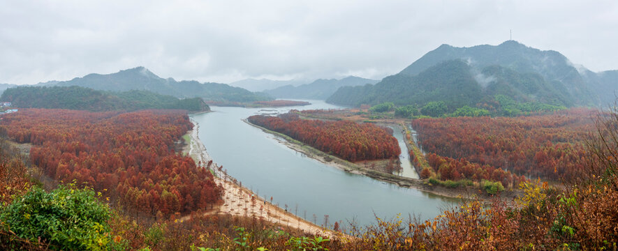 Mangrove Forest At Dawn, Anhui, China