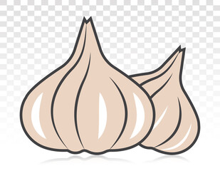Garlic / allium sativum flat colour icon for apps and websites