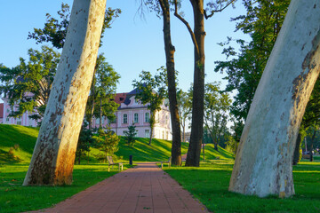 Virovitica, Croatia- July 5, 2020: Park in the center of Virovitica, Slavonia Region
