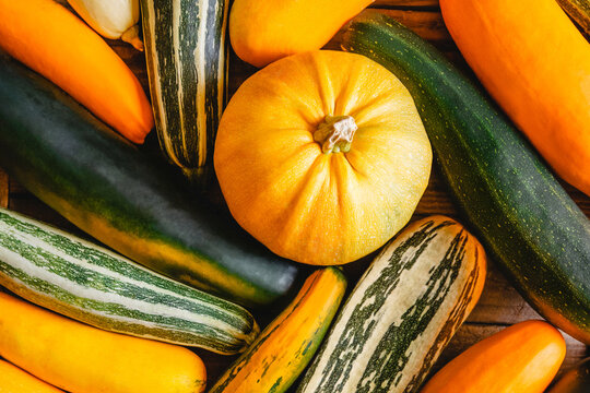 Randomly laid out different-grade multicolored zucchini and pumpkin. The view from the top