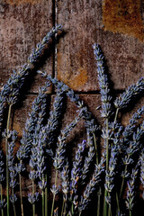 Fresh and dry lavender flowers over dark brown ceramic tile. Flat lay, space