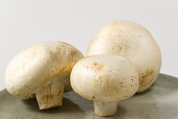 Fresh champignon mushrooms macro shoot. Close-up white sliced champignon.