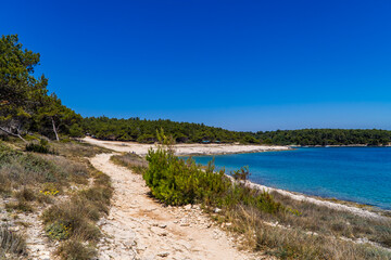 Fototapeta na wymiar Wild hiking paths on the coast of Kamenjak National Park in Premantura, Istria, Croatia