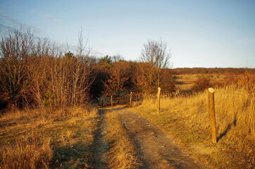 Beautiful autumn meadow at sunset. Landscape nature scenery at sunset. Fall and Autumn theme