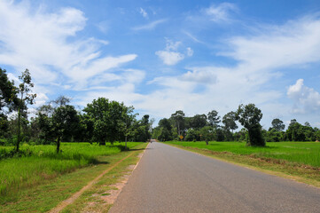 Fototapeta na wymiar カンボジアの道路　Road in vast land of Cambodia