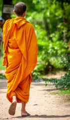 Monk walking to meeting