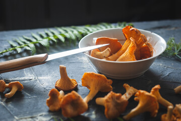 vegetarian food, fresh chanterelles on a concrete table,