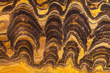 Stromatolites, microorganism fossils, Precambian period,  Asturias, Spain, Europe