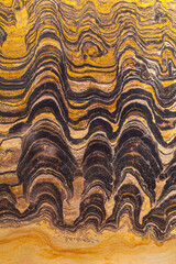 Stromatolites, microorganism fossils, Precambian period,  Asturias, Spain, Europe