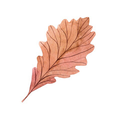 Watercolor illustration of a leaves. Hand made character. Leaf isolated on white background. Watercolor hand-drawn illustration. Autumn. Fall
