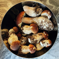 Full bowl of harvested porcini mushrooms. Cooking delicious organic mushroom. Gourmet food
