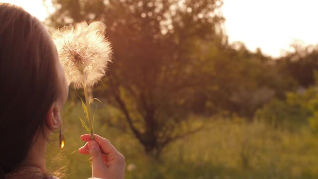 Woman blow on dandelion at the sunset