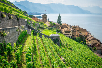 Scenic panorama of Lavaux with the Saint-Saphorin village green terraced vineyards and Geneva lake...