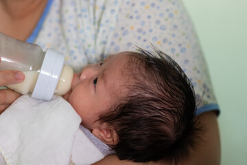 Asia 2 month baby y lying on mothers hand drinking milk from bottle
