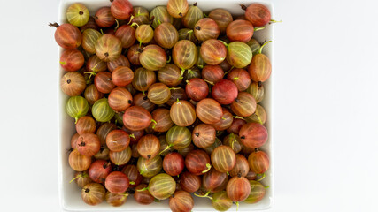 ripe gooseberries in a white plate, macro photography