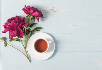 Red pink peonies tea cup on a blue wooden background. Horizontal frame copy space for text design. Top view