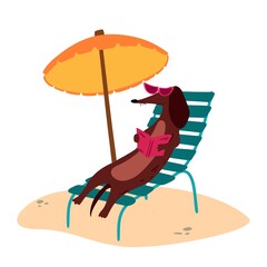 A vector illustration of a cute Dachshund wiener dog with sun umbrella and a book on a beach