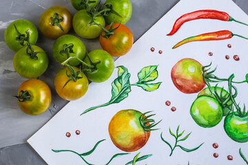 Fresh tomatoes and drawing watercolor background