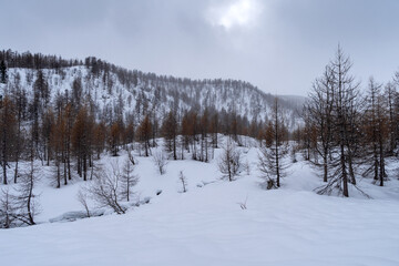 Ligurian Alps in winter, Piedmont region, northwestern Italy